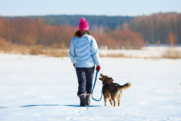 Cold weather dog walking gear best sale