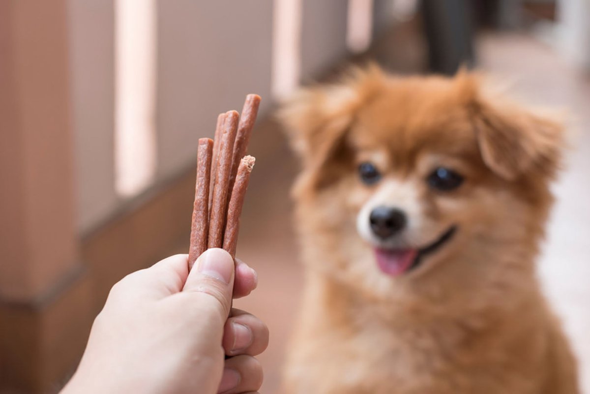 holding up treats for dog