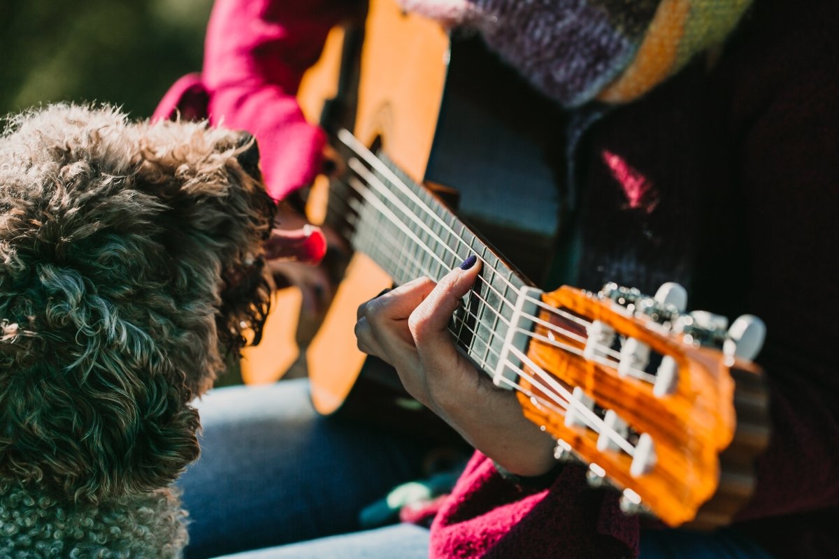 dog listening to woman playing guitar