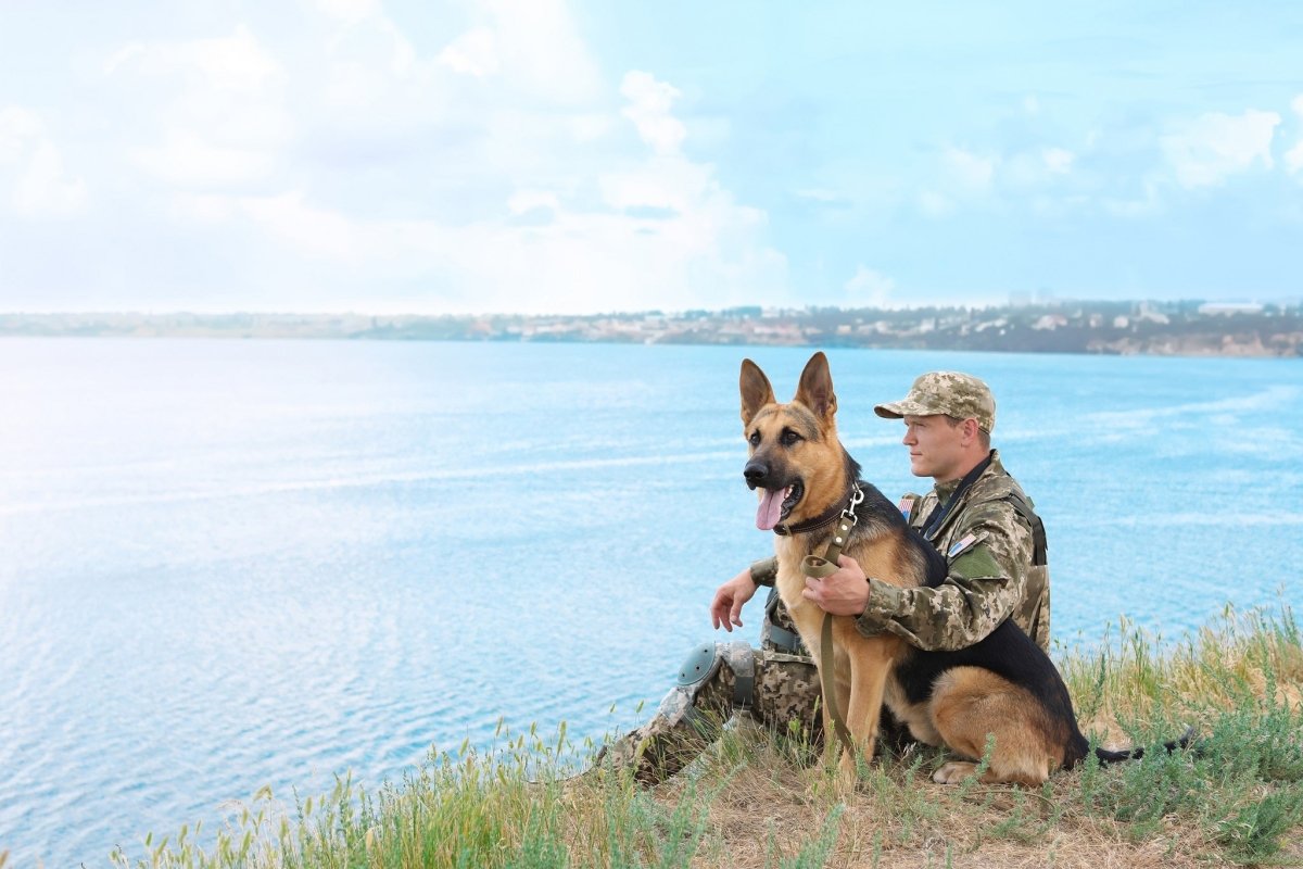 army man and german shepherd sitting on grass next to body of water