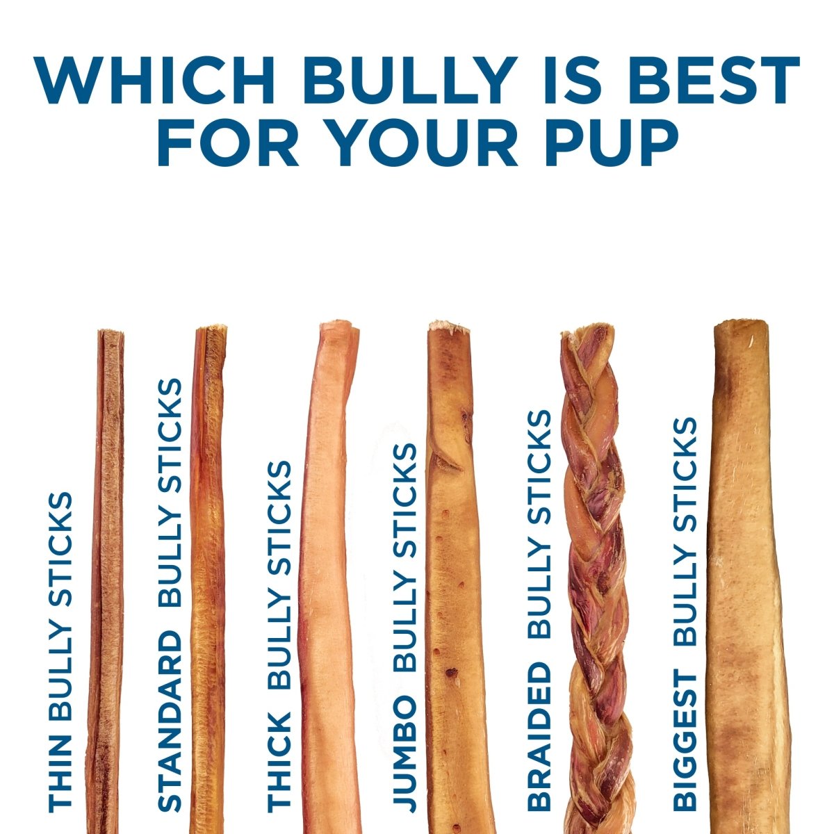 12 Inch Jumbo USA Baked Odor Free Bully Stick Best Bully Sticks