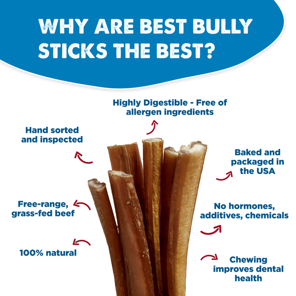 12 bully sticks for fashion dogs