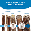 Which 4-8 Inch Odor-Free Bully Stick from Best Bully Sticks is best for your pup?