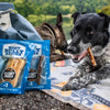 A dog is chewing on a 6-Inch Hickory Smoked Bully Stick from Best Bully Sticks.