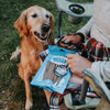 A woman is sitting in a lawn chair with her dog chewing on a Best Bully Sticks 6-Inch Hickory Smoked Bully Stick.