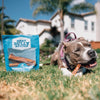 A dog laying on the grass next to a bag of Best Bully Sticks&#39; 6-Inch Jumbo Odor-Free Bully Stick.