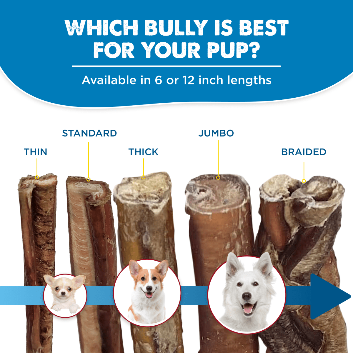 6 Inch Standard Odor Free Bully Stick Best Bully Sticks