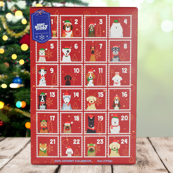 Zoe dog 2025 advent calendar