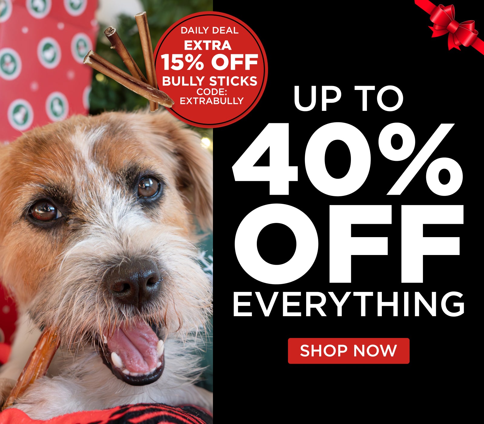 up to 40% off EVERTHING and extra 15% off bully sticks