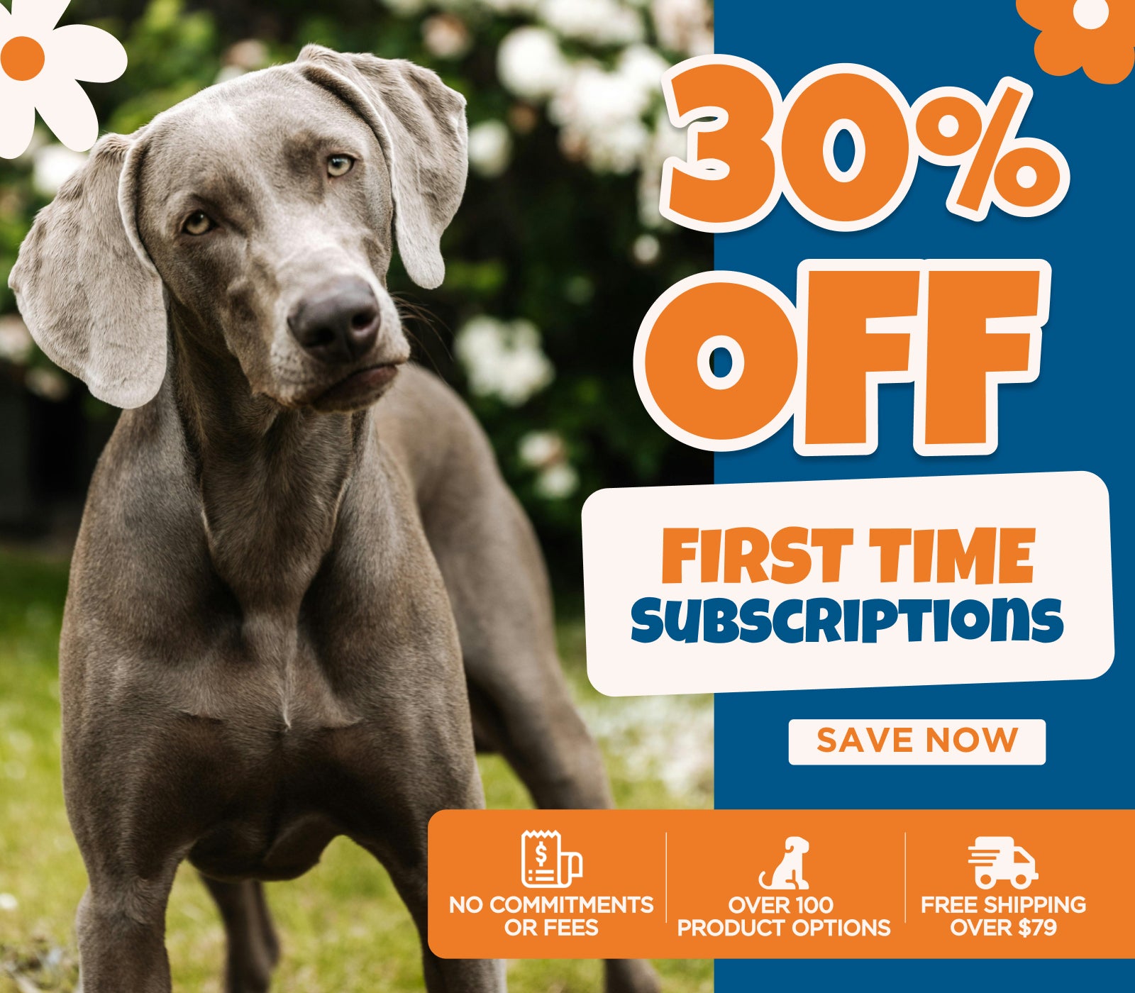 30% OFF FIRST TIME SUBSCRIPTIONS SAVE NOW