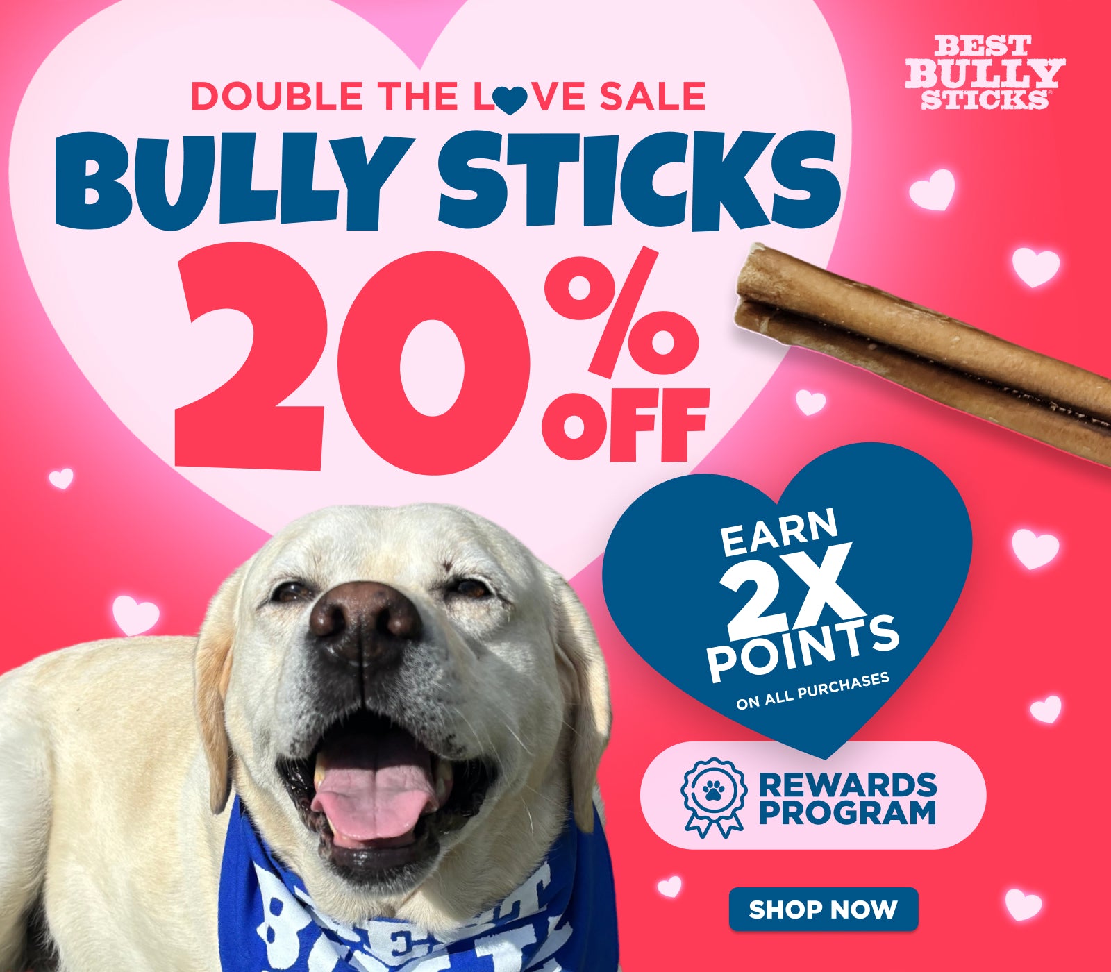 double the love sale 20% off bully sticks earn 2x points on all purchases shop now