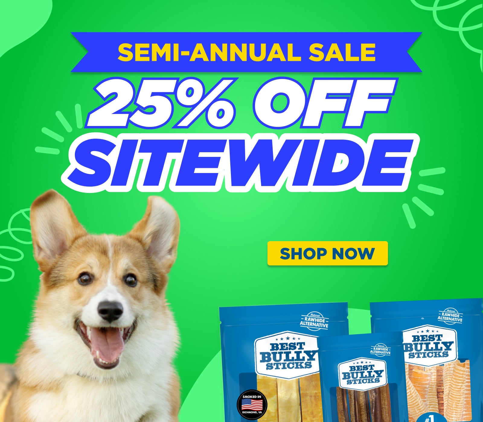 semi-annual sale 25% off sitewide shop now