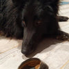 A black dog laying next to a Best Bully Sticks Acai Stuffed Hoof.