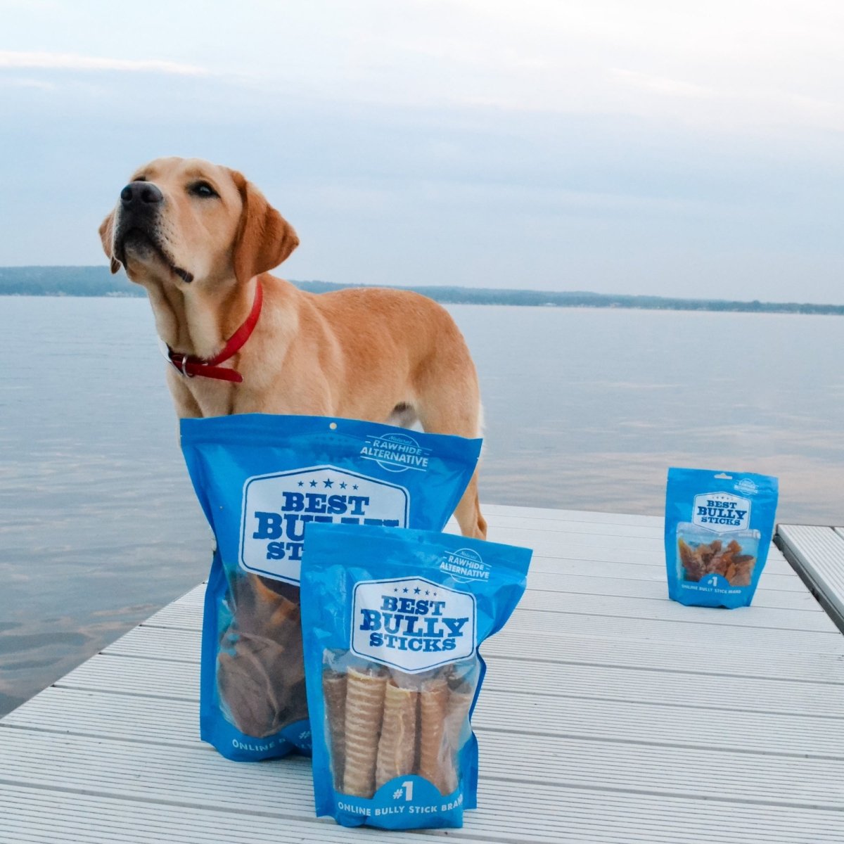 Best dog bully sticks best sale