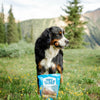 A dog standing in the grass next to a Best Bully Sticks Beef Trachea Grab Bag (8 oz).
