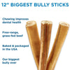 12 Best Bully Sticks - Biggest Bully Stick Ever (3 Pack of 12 inch) from Best Bully Sticks.