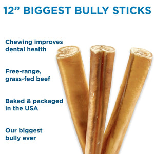 Largest Bully Sticks for Dogs Best Bully Sticks