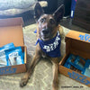 A dog laying on the floor next to boxes of Best Bully Sticks&#39; I Love Chew Variety Box.