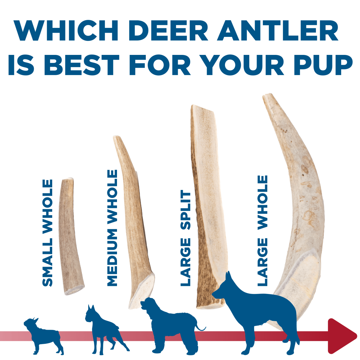 1.75 Pounds 6 Large DENSE Whole REAL Deer popular Antler Dog Chews Organic Dental Treat for Dogs Toy Naturally Shed Keep Your Dog Busy for Hours!