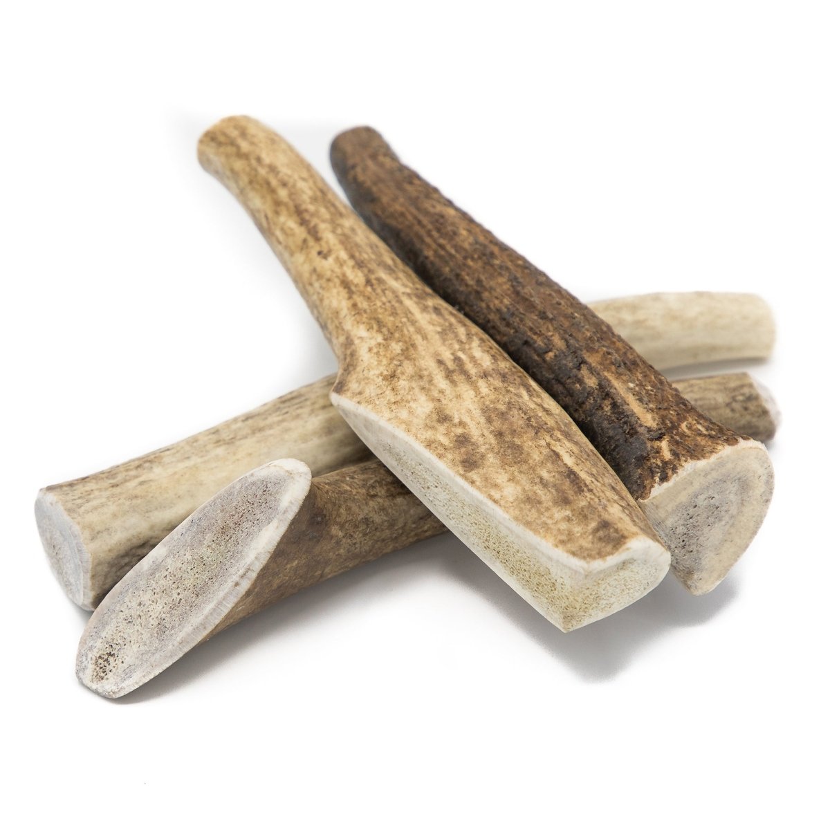 Medium Whole Elk Antler 1 Count Best Bully Sticks