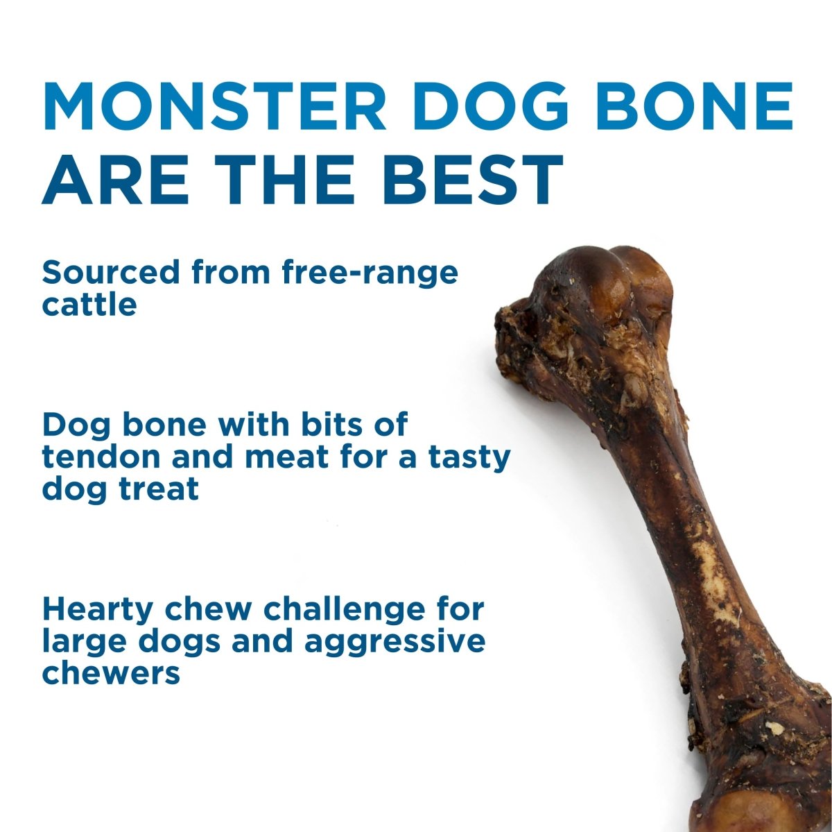 Best bones for big dogs best sale