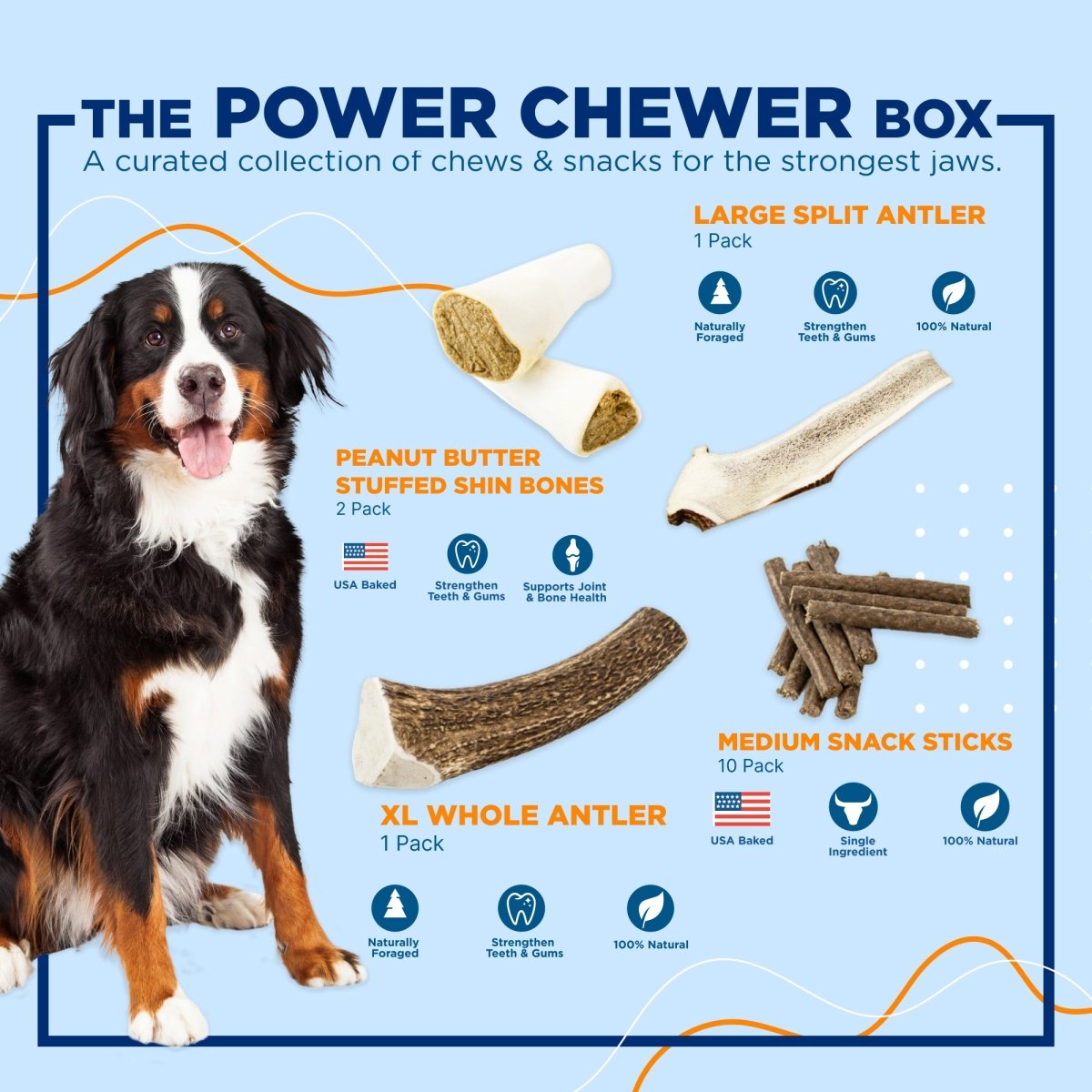 Best dog treats for chewers hotsell