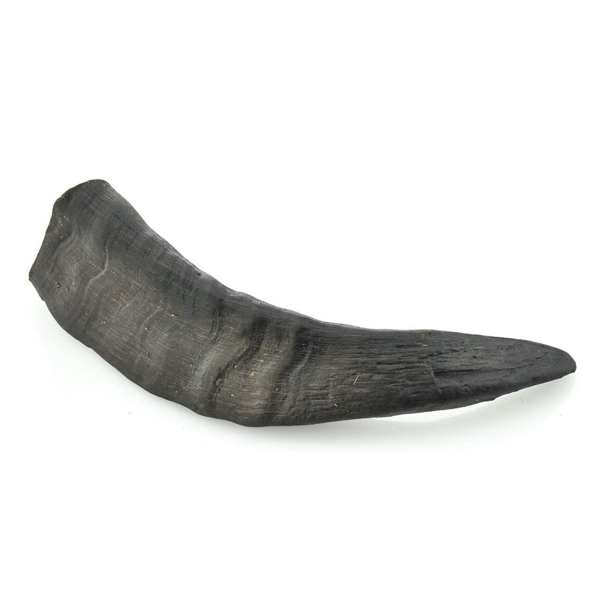 Goat horn chews for dogs best sale