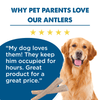 Why pet parents love our Best Bully Sticks Small Whole Deer Antler (1 Count).