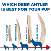 Which Small Whole Deer Antler (1 Count) from Best Bully Sticks is best for your dog?