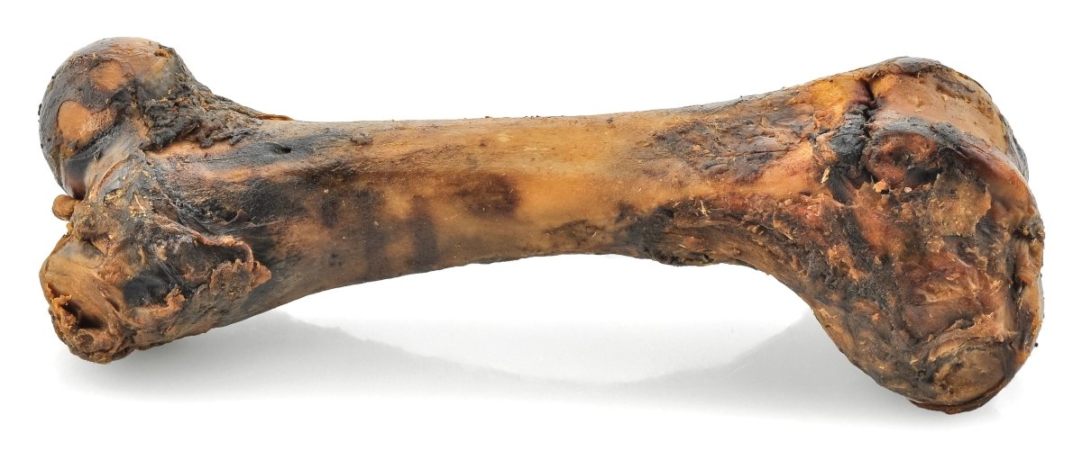 An Smoked Pork Femur Bone (10 Pack) on a white background.