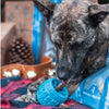 During the holiday season, a dog happily chews on a BEST Holiday Treats &amp; Chews Box toy from Best Bully Sticks.